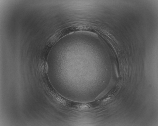 X0000058800513200509301211