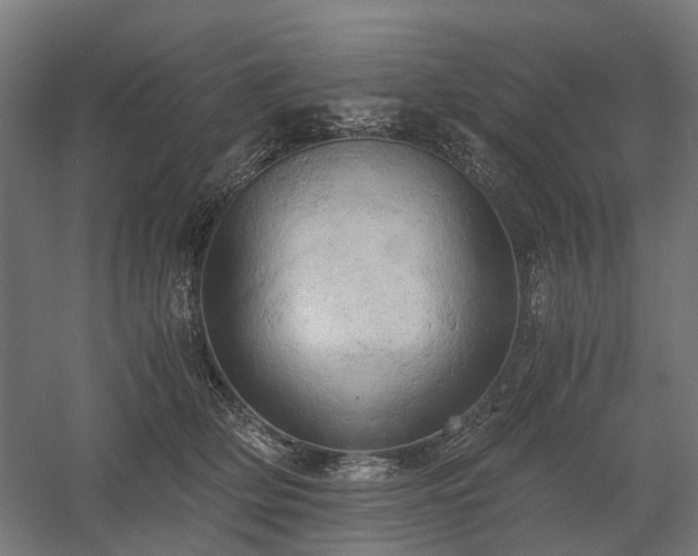 X0000058800514200509301211