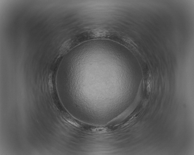 X0000058800516200509301211