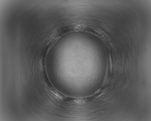 X0000058800520200509301210