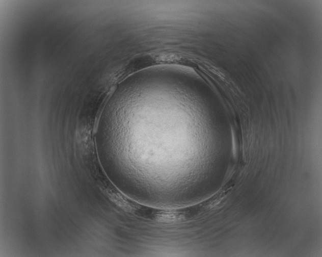 X0000058800521200509301210