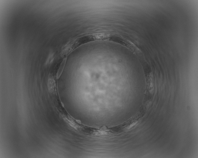 X0000058800523200509301210