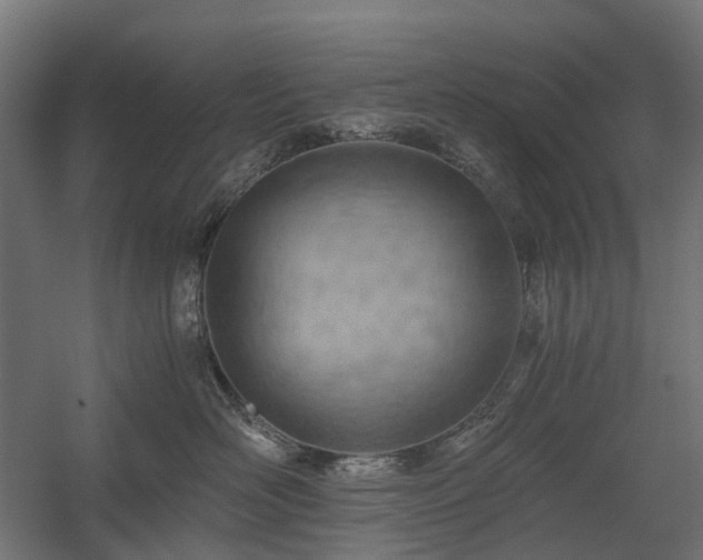 X0000058800526200509301210