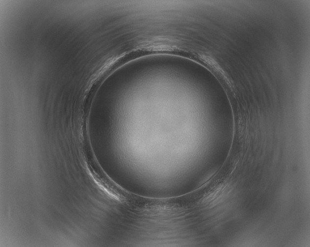 X0000058800533200509301210