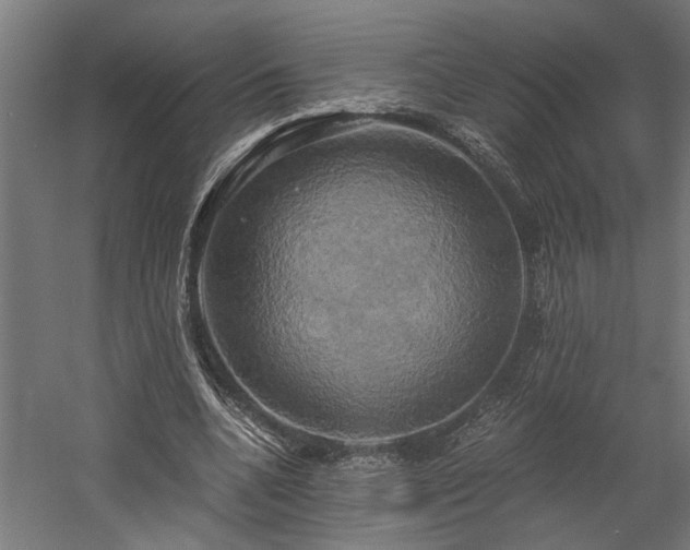 X0000058800536200509301210