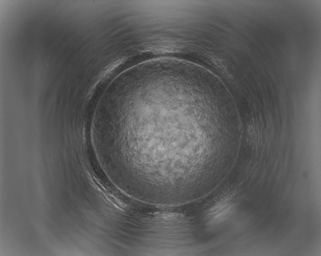 X0000058800539200509301210