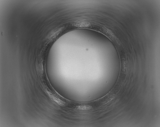 X0000058800541200509301210