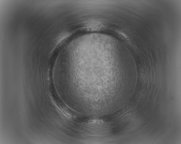 X0000058800543200509301210