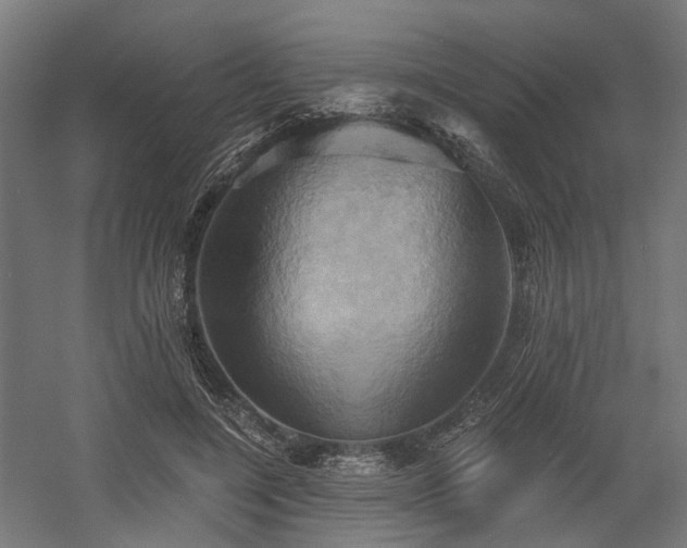 X0000058800548200509301210
