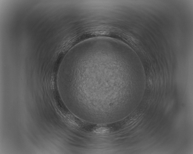 X0000058800551200509301210