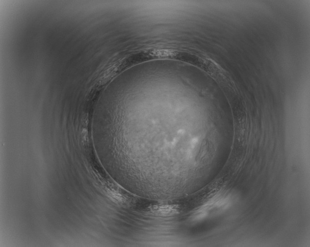 X0000058800553200509301210