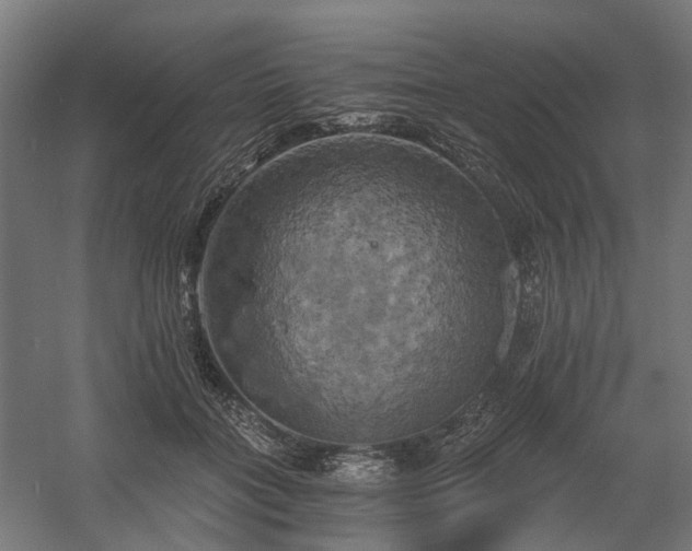 X0000058800555200509301210