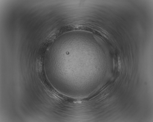X0000058800558200509301210