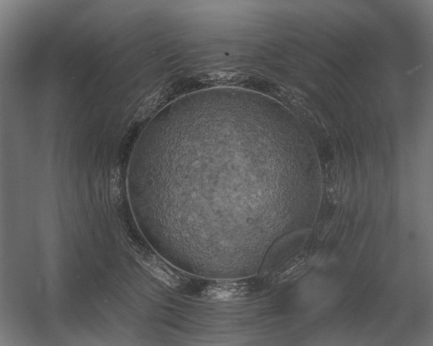 X0000058800563200509301210