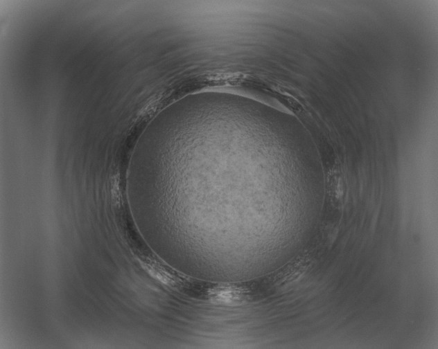 X0000058800564200509301210