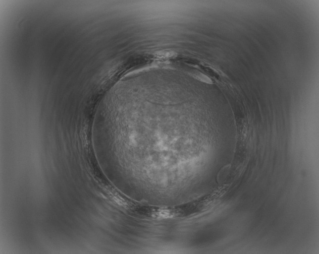 X0000058800565200509301210