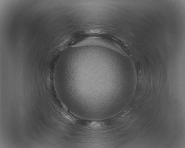 X0000058800566200509301210
