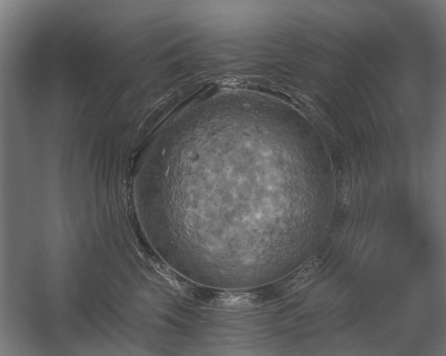 X0000058800569200509301210