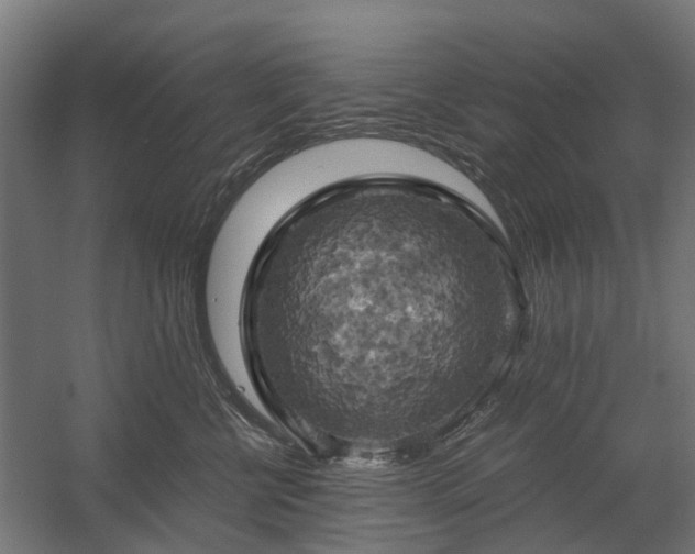 X0000058800570200509301210