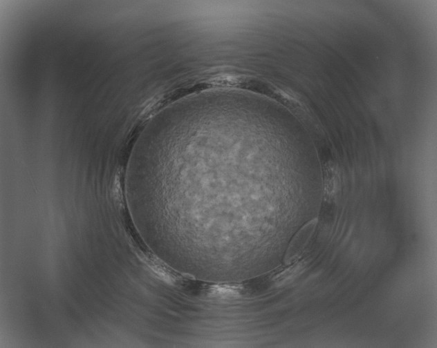 X0000058800573200509301210