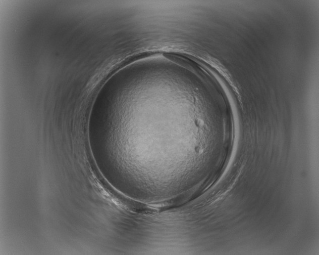 X0000058800577200509301209