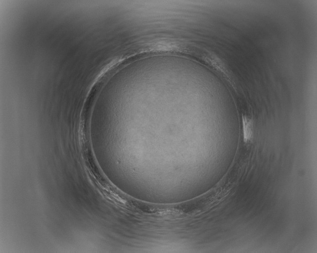X0000058800579200509301209