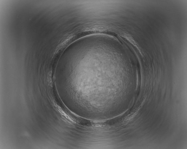 X0000058800585200509301209