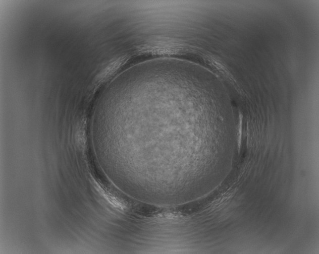X0000058800586200509301209