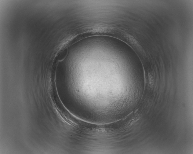 X0000058800588200509301209