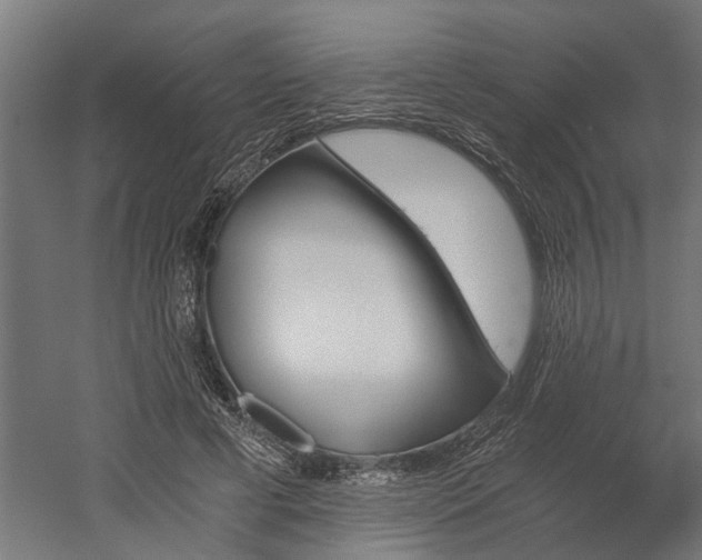 X0000058800593200509301209