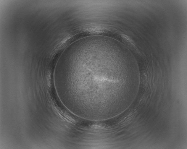 X0000058800596200509301209