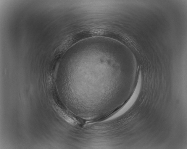 X0000058800601200509301209