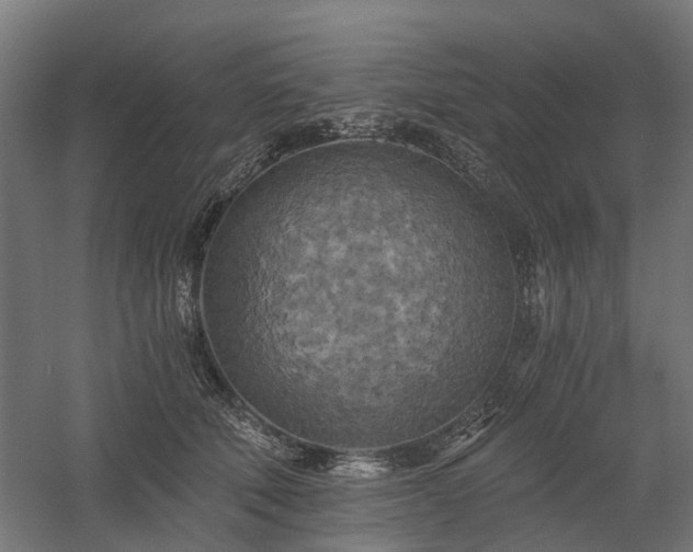 X0000058800610200509301209