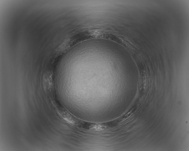 X0000058800611200509301209
