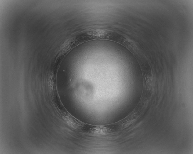 X0000058800612200509301209