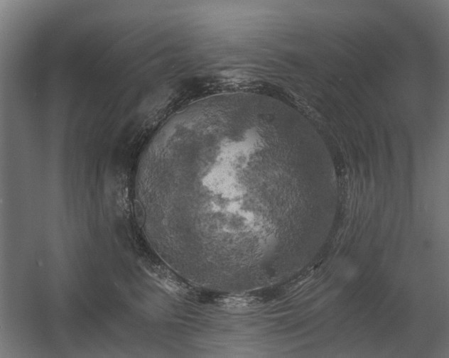X0000058800615200509301209
