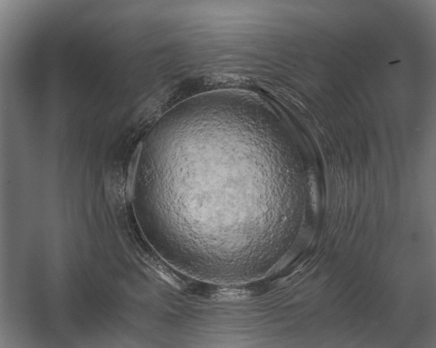 X0000058800617200509301209