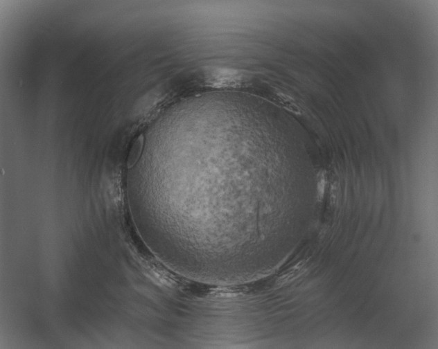 X0000058800620200509301209