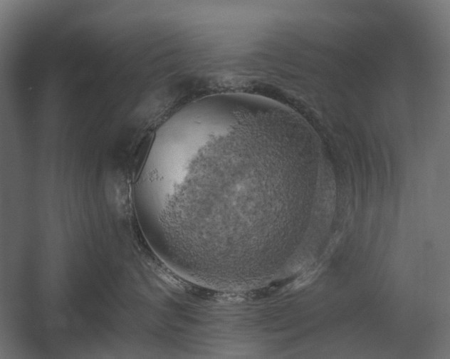 X0000058800624200509301209