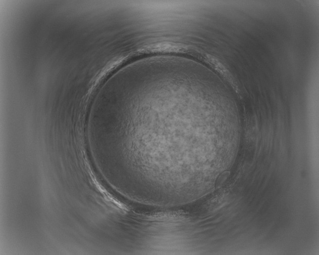 X0000058800625200509301208