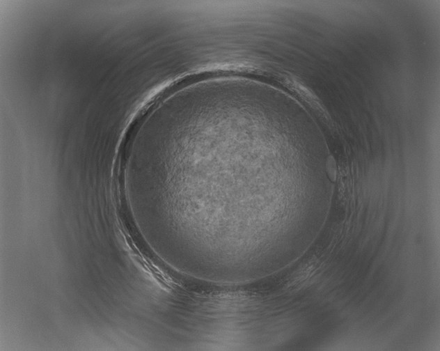 X0000058800628200509301208