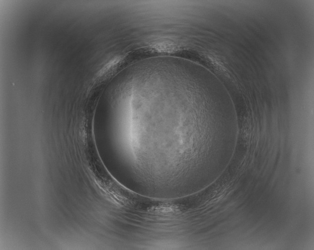 X0000058800639200509301208