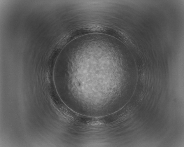 X0000058800643200509301208