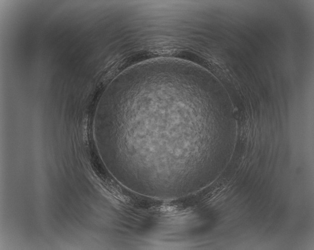 X0000058800647200509301208