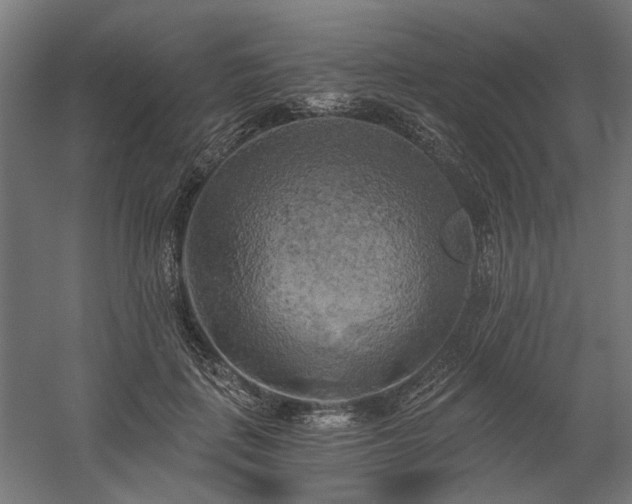 X0000058800651200509301208