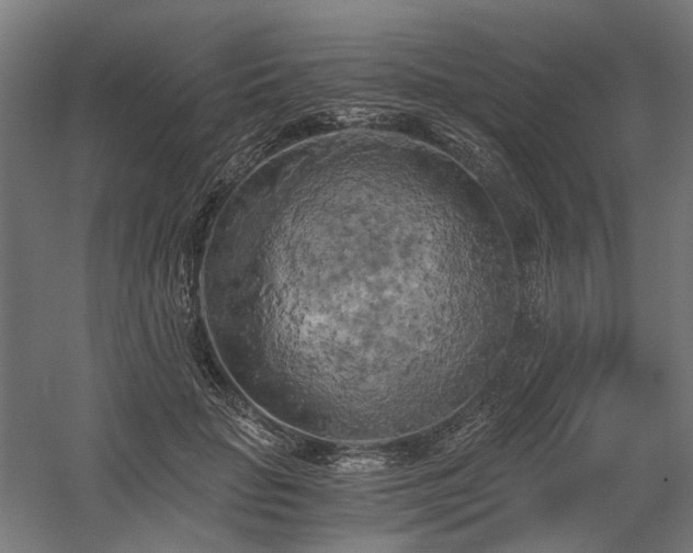 X0000058800653200509301208