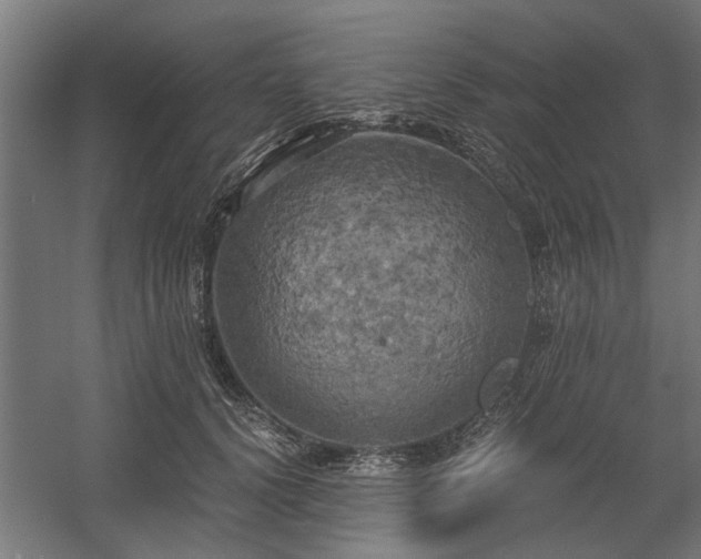 X0000058800656200509301208