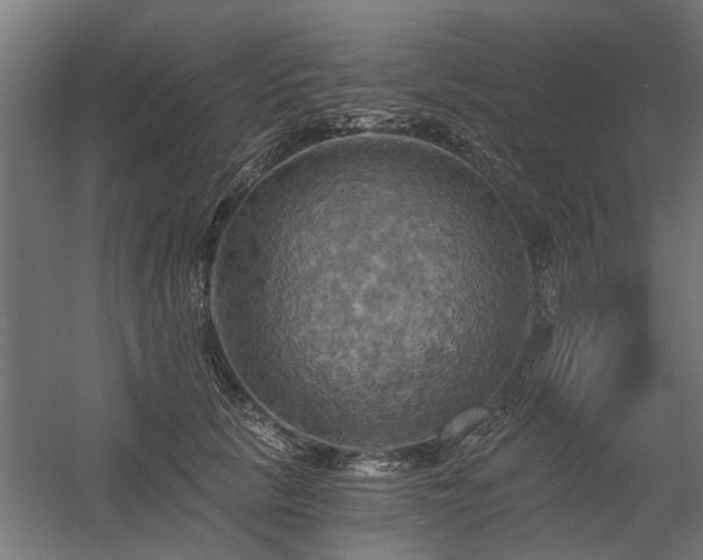 X0000058800657200509301208