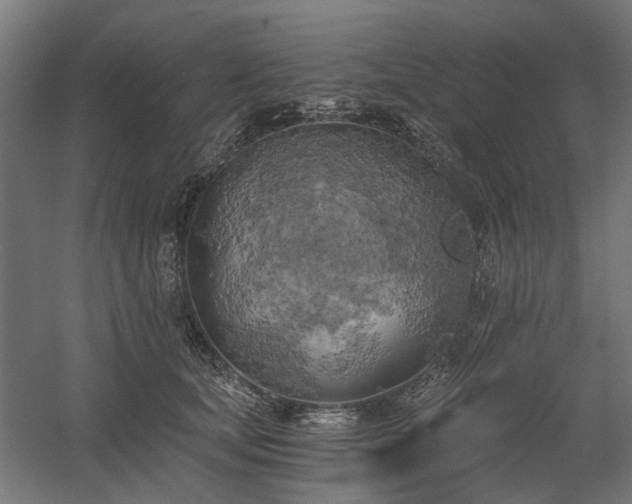 X0000058800659200509301208