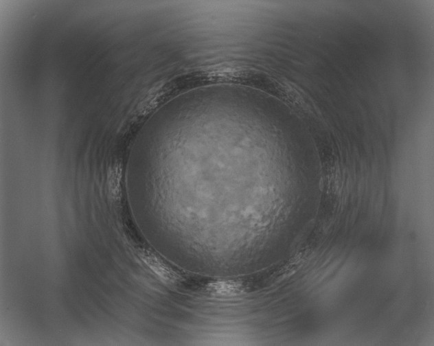 X0000058800660200509301208